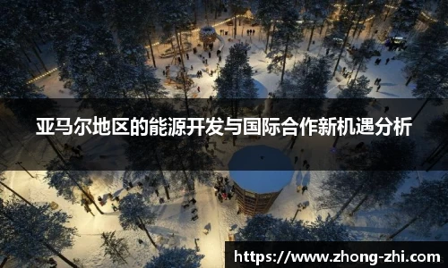 ng体育官网